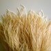 OSTRICH FRINGE Golden Champagne, Straw / 321