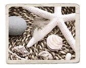 Sepia Still Life Photograph Beachcombing Fine Art -Starfish Feather Pebble Shells Ocean Sea Nature Beach Vintage Style