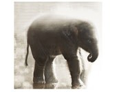 Elephant In The Mists Fine Art Photograph -Sepia Baby Animal Asian Calf Nature Wildlife Print Safari Vintage Style