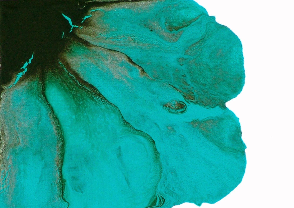 Original ACEO Flower Painting Tidal -Teal Brown Wall Art 8 x 10 Matted Signed
