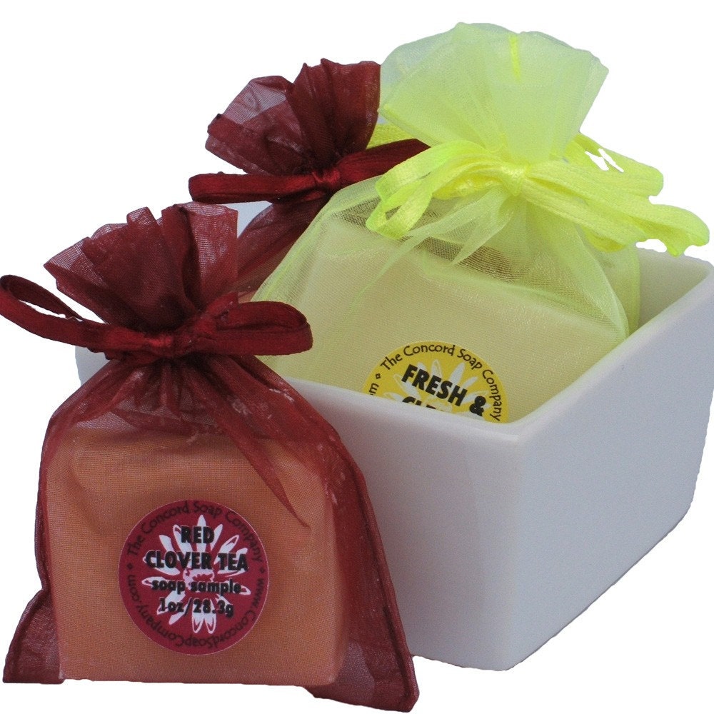 BULK Soap Bar Sample 25 pack - Handmade Cold Process Soap Bars - Wedding and Shower Favors