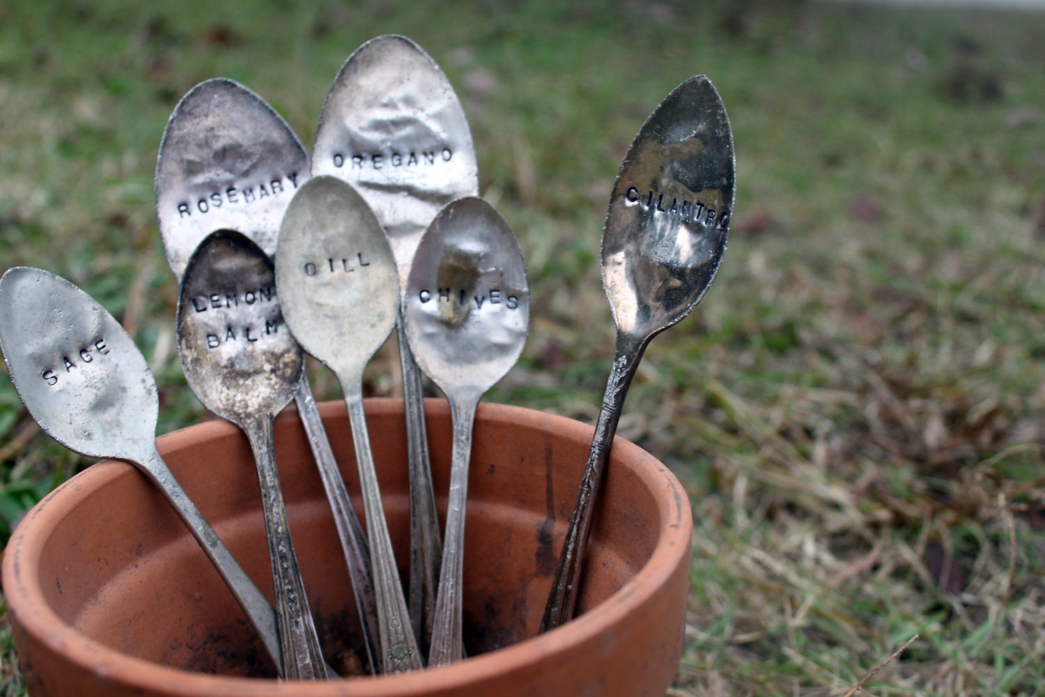 Herb Garden Markers - Set of 7 (set 4)