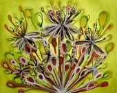 Queen Anne's Crowns, original acrylic painting, seed pods, floral bouquets