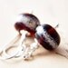 Burgundy Glass Earrings  Lampwork Silver Dangle Oxblood PoleStar