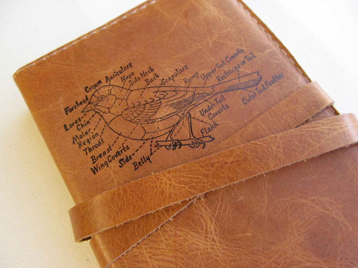 Leather journal or sketchbook featuring diagrammed bird with free personalization