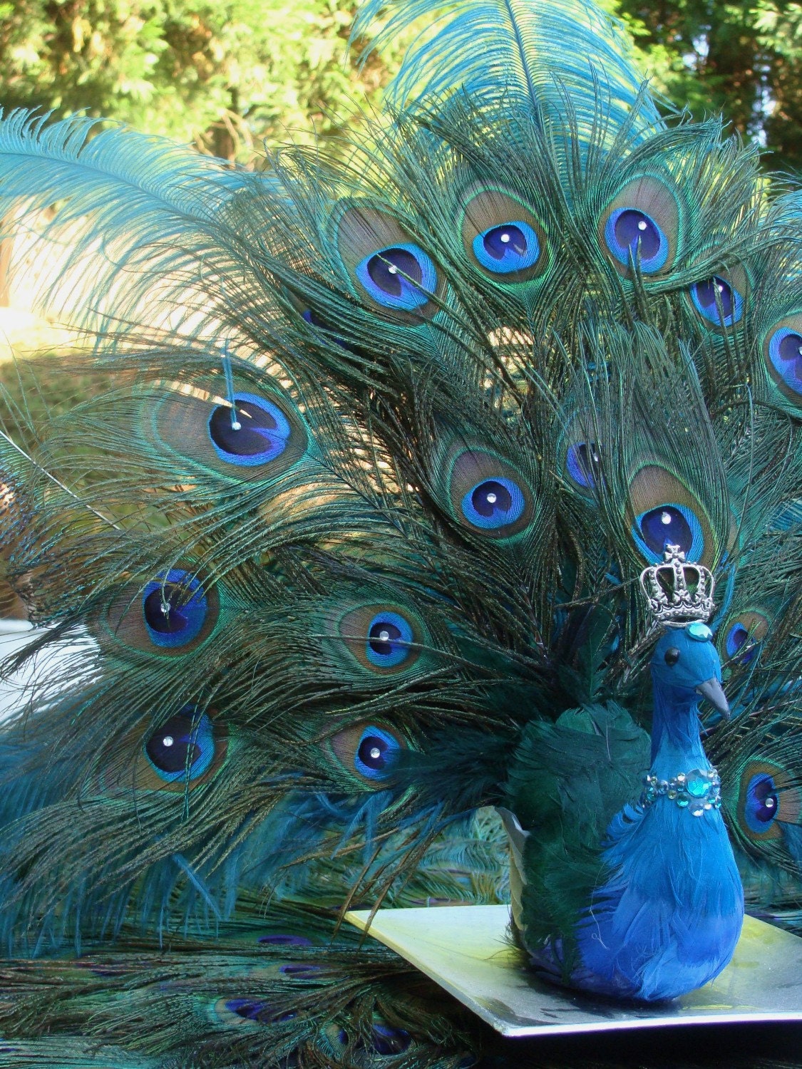 FINAL PAYMENT Peacock Feather Wedding Package or NubianButterfly2 06-12