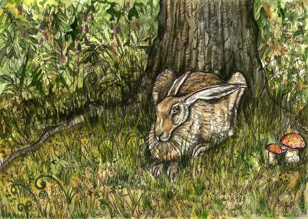 The Dingley Dell - Hare Art Print