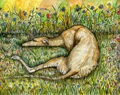 Greyhound Dog Print - 5 x 7 inch by Elle J. Wilson