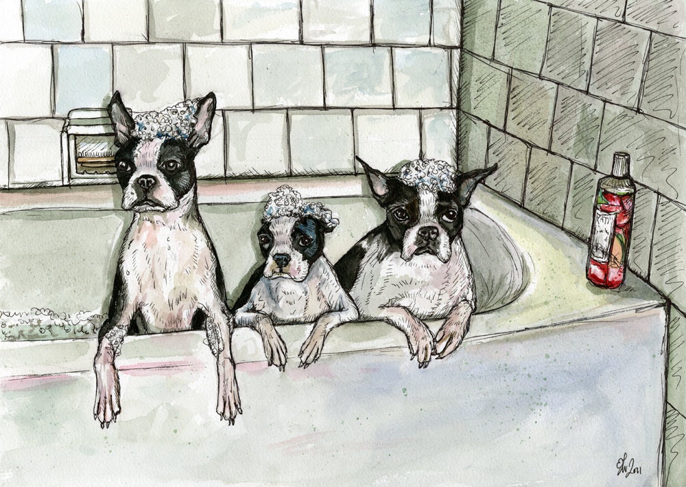 Bathtub Buddies - Boston Terrier Dog Print - 5 x 7 inch