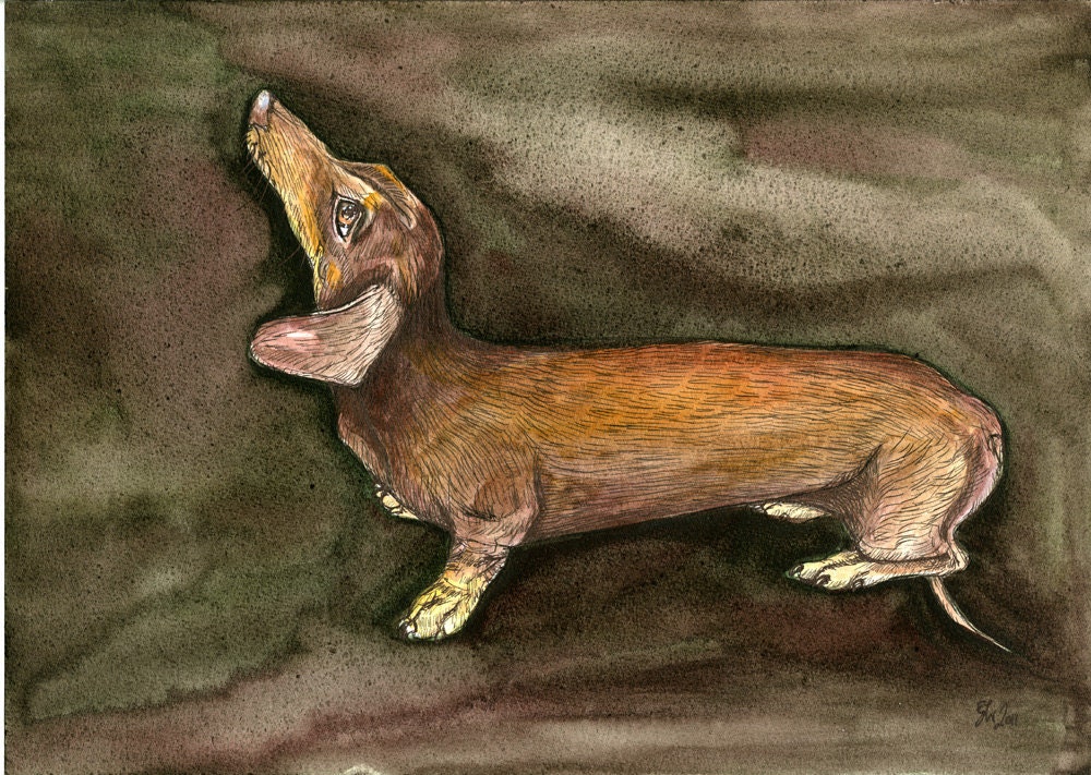 Just a little devotion - Dachshund Art Dog Print