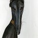 I DONT THINK SO - GREYHOUND DOG PRINT