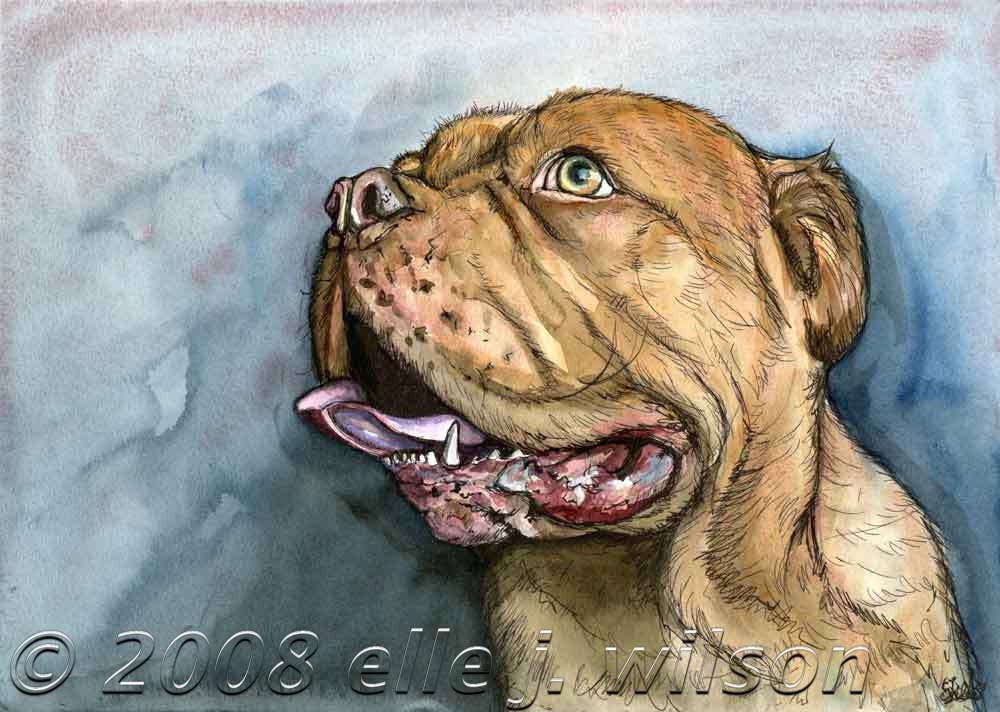 A Little Temptation - Dogue de Bordeaux  - Art Dog Print