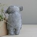 pocket bear / darcy / grey bear