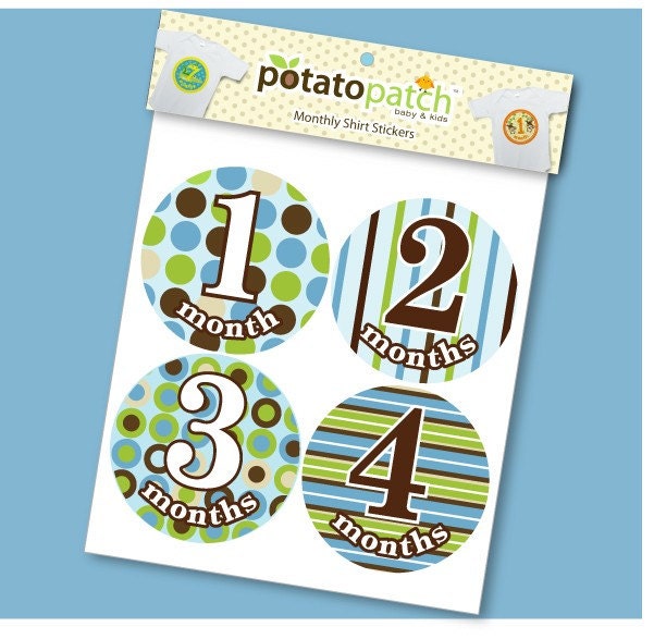 Monthly Baby Onesie Stickers for Shirts - Modern Pop for Boys