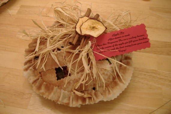 Apple Cinnamon PotPourri Pie by nettesniche on Etsy