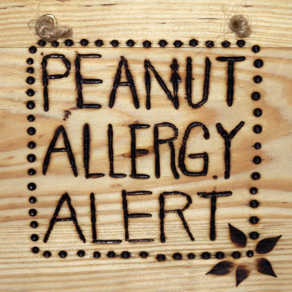 Wood Burned Peanut Allergy Alert Sign by recyCo on Etsy