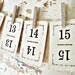 Vintage Number Cards, set of 15