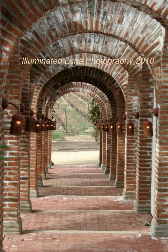 SALE Arched Pathway to the Vineyard - Signed 5 x 7 Fine Art Photograph, Wine Country, Mexico by IlluminatedLuna on Etsy