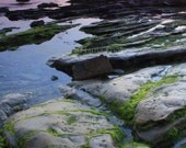 SALE Mossy Rocks at Sunset - Signed 20 x 30 Fine Art Nature Photograph Poster, Laguna Beach, California, Shipping Included