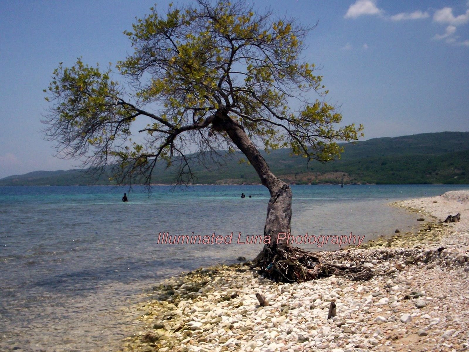 HAITI, Island of La Gonave, A Tropical Inspired 5 x 7 Signed Fine Art Photograph by IlluminatedLuna on Etsy