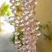 Super Quality Pointer Marquise Rose Quartz Briolettes 1/2 Of 8 1/2 Inches