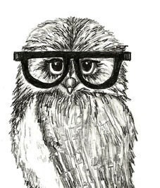 Party Owl Illustration