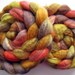 Swirl BFL Wool Roving (Top) - Handpainted Spinning or Felting Fiber, "Tarzan" - 4 ounces
