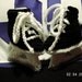 Hockey Skate booties for a future NHL All-Star with FREE SHIPPING