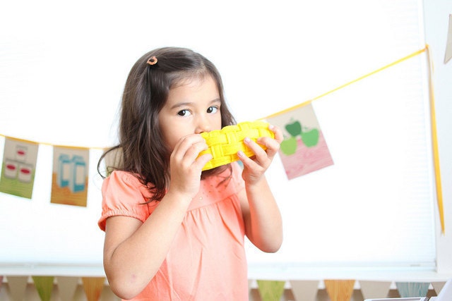 Grocery Story DIY Felt Food Tutorial- Pattern and Instructions Downloads INSTANTLY