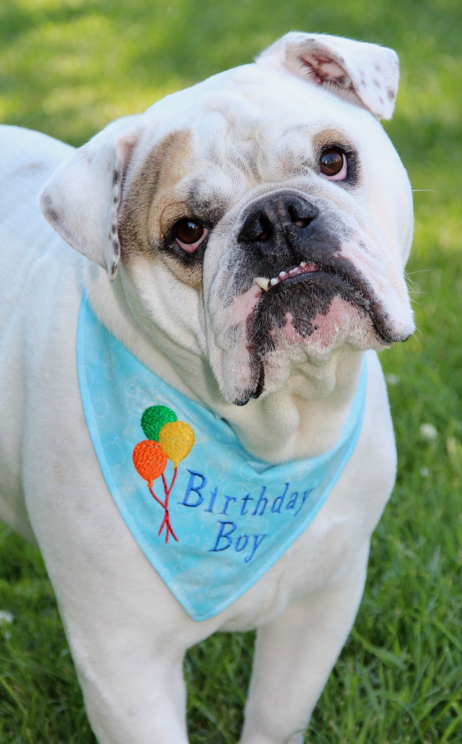 Boy Birthday Dog Bandana Sizes XS to Large Pick a Fabric & Design