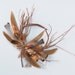 WILD Twigs n Feathers 2... Mulberry Twig Wreath