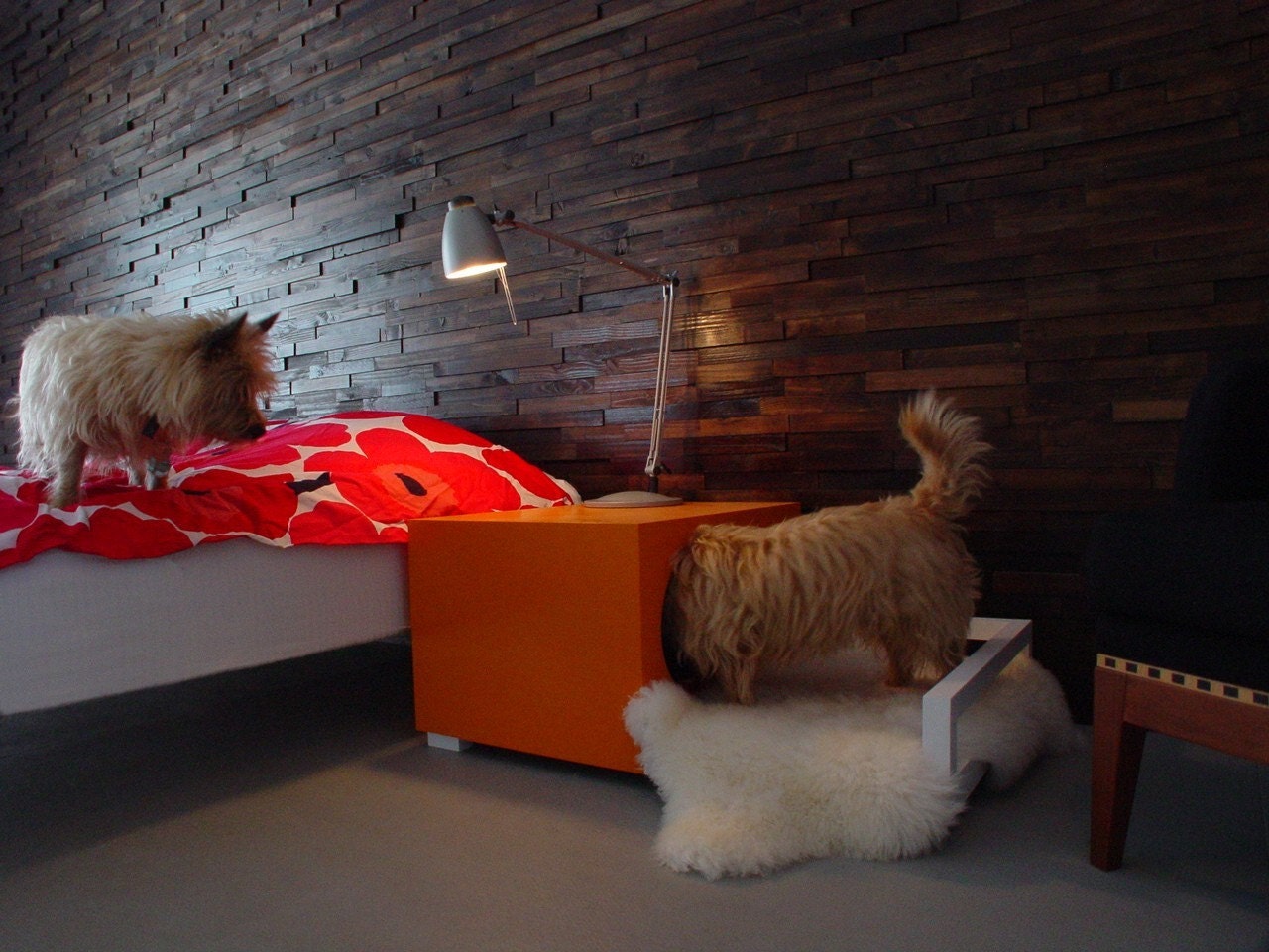 Indoor Dog House/Bedside Table