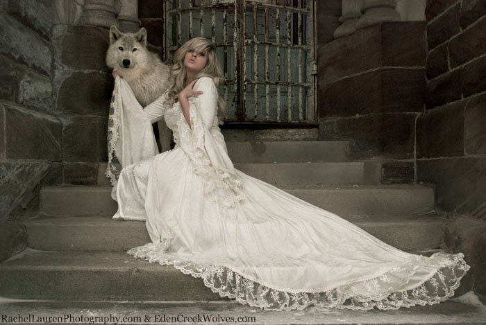 Narnia Style Victoria Velvet and Lace Fantasy Medieval Fairy Wedding Gown Custom