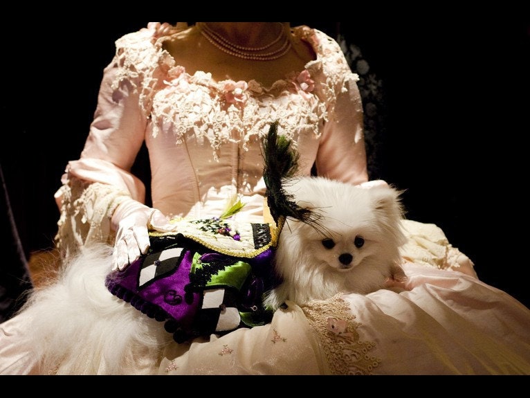 Phantom of the Opera style Marie Antoinette Gown with Bustle and Flowers Custom