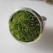 Lush Green Grass Round Silver Ring Wide Adjustable Band