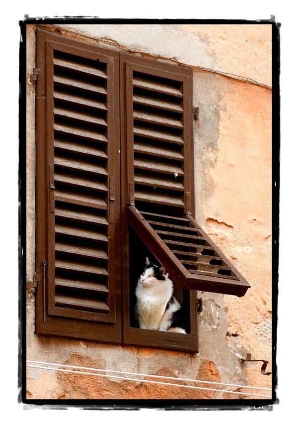 Rear Window