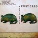 Verdigris Patina Brass Armadillo Stamping(2)-VPS6868.