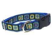 Blue Tag Collar Matching Set CARIBBEAN BLUE color block