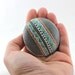 Copy cat / Alaska Series / Painted Stones by Amy Komar