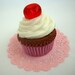 BIG CUPCAKE - Cherry on Top - Full Size Cupcake Soap