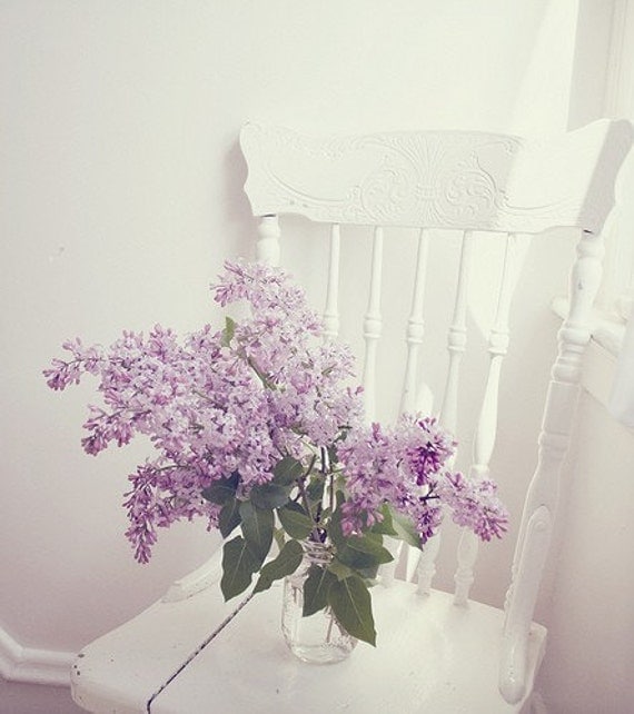 White lilacs romantic feminine purple tree nature 5x7 fine art photograph photo home wall decor