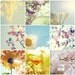 Print Collection  Your Choice  ( Set of Nine 4x4 or 4x6 Original Fine Art Photographs) Set