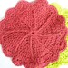 RESERVED FOR scrappyrat - Dish Cloth of the Month Club