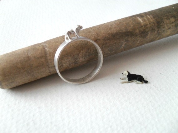 Dog Ring