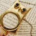 Owl necklace, magnifying glass necklace, Mothers day gift, gold magnifying glass long necklace, owl jewelry necklace