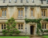 Oxford Oasis - 8x10 Photograph
