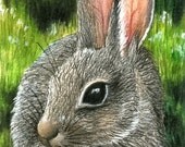 ACEO art print Hare 13 bunny rabbit by Lucie Dumas