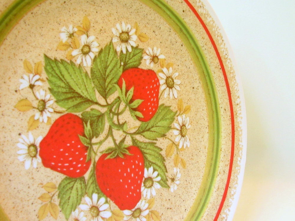 Retro Dishes Melamine Vintage Strawberry Dinner Plates for 4