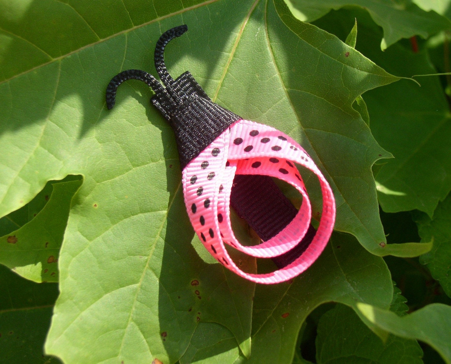 Hot Pink Ladybug