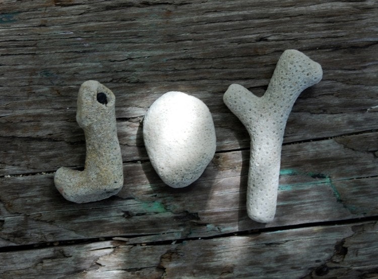 Inspirational JOY Photo Print 8X10 Coral Seashells